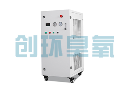 路北石斑鱼养殖水质调控完整指南：臭氧发生器配置与操作步骤