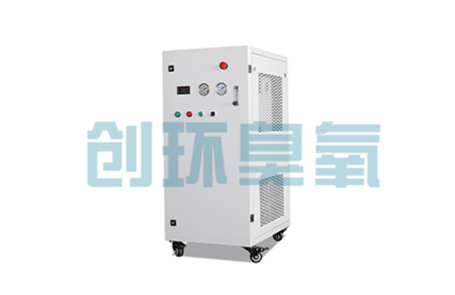 路北比传统换水更高效？臭氧发生器在石斑鱼养殖中的水质净化原理解析