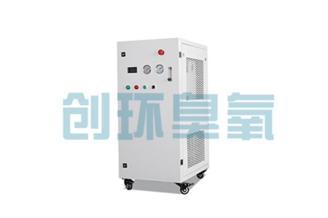 路北比传统换水更高效？臭氧发生器在石斑鱼养殖中的水质净化原理解析